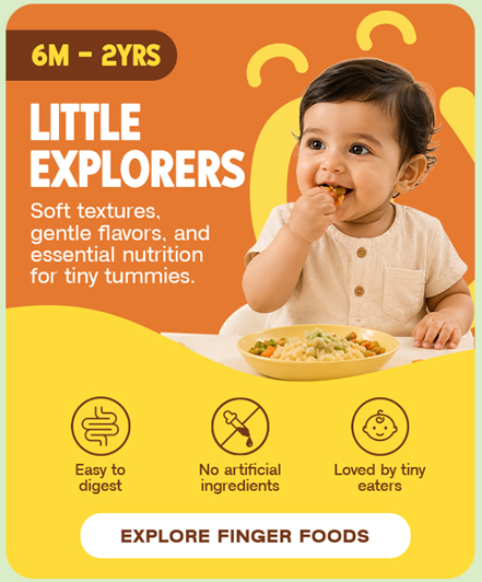 Little Explorers - 6-12 Months